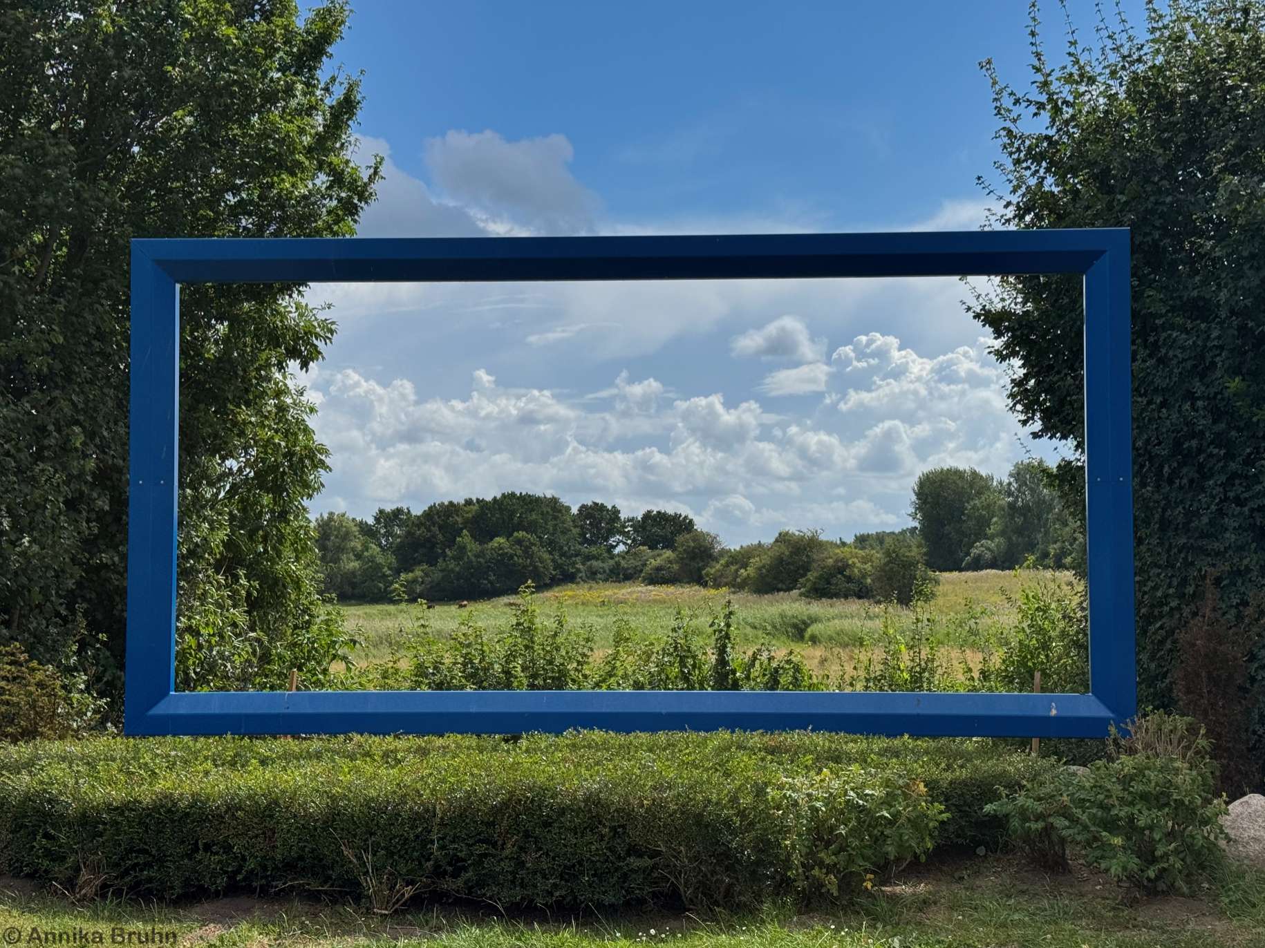 Blick durch den Rahmen auf die Salzwiesen
